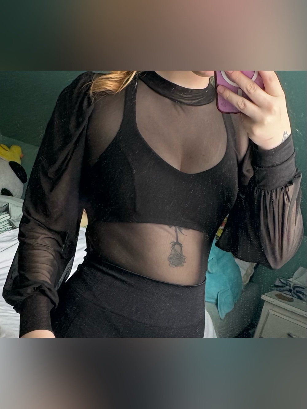 Streetwear Society Black Sheer Mesh Long Sleeve Crop Top